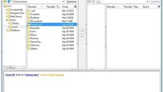 FireFTP screenshot
