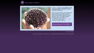 FireSSH screenshot