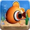 Fish Lives