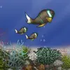 Fish Tycoon