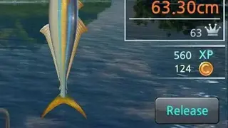 Fishing Hook screenshot