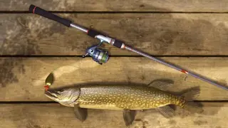 Fishing Planet screenshot