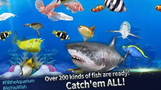 Fishing Rivals: Hook and Catch screenshot