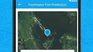 FishWise screenshot