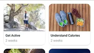 Fitbit screenshot
