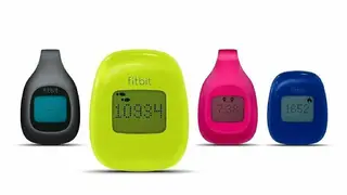 Fitbit Zip screenshot