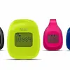 Fitbit Zip
