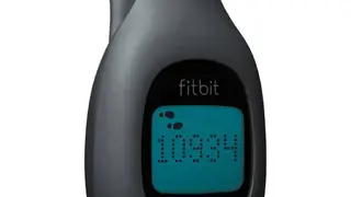 Fitbit Zip screenshot