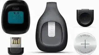 Fitbit Zip screenshot
