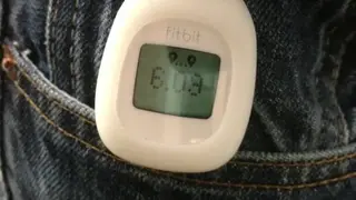 Fitbit Zip screenshot