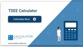 Fitstinct TDEE Calculator screenshot