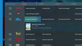 FitzyTV screenshot
