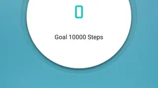 FlagFit screenshot