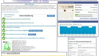 Flagfox screenshot