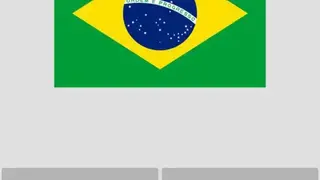 Flags of All Countries of the World: Guess-Quiz screenshot