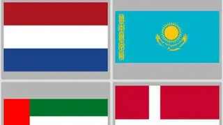 Flags of All Countries of the World: Guess-Quiz screenshot