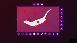 Flameshot screenshot