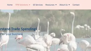 Flamingo TPM screenshot