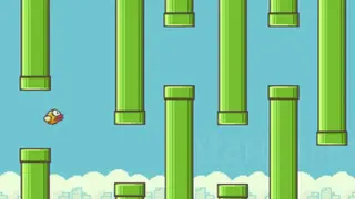 Flappy Birds screenshot