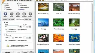Flash Renamer screenshot