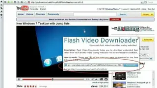 Flash Video Downloader screenshot