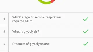 Flashcards screenshot