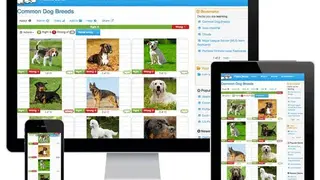 FlashDecks screenshot
