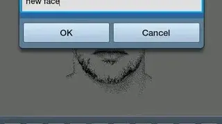 FlashFace screenshot
