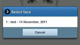 FlashFace screenshot