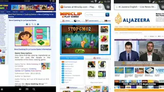 FlashFox screenshot