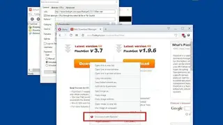 FlashGet Downloader screenshot