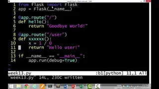 Flask screenshot