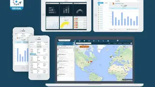 Fleetmatics screenshot