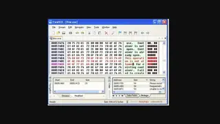 FlexHex screenshot