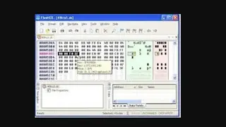 FlexHex screenshot