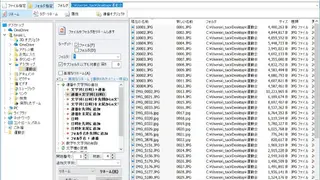 Flexible Renamer screenshot
