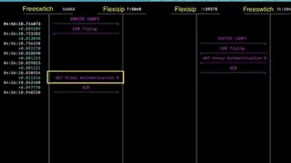 Flexisip screenshot