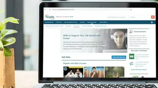 FlexJobs screenshot