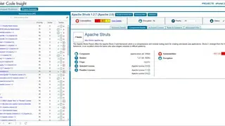 FlexNet Code screenshot