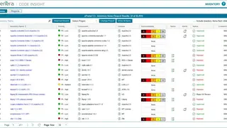 FlexNet Code Insight screenshot