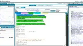 FlexNet Code Insight screenshot