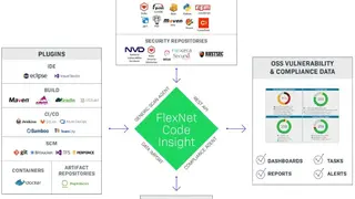 FlexNet Code Insight screenshot