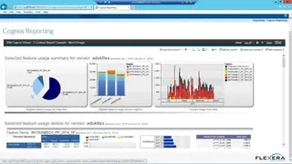 FlexNet Manager screenshot