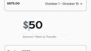 FlexWage screenshot