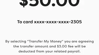 FlexWage screenshot