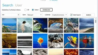 Flickr Fast Downloader screenshot