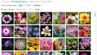 Flickr Fast Downloader screenshot