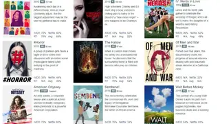 FlickSurfer screenshot