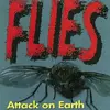 Flies Attack on Earth