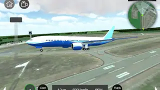 Flight Sim screenshot